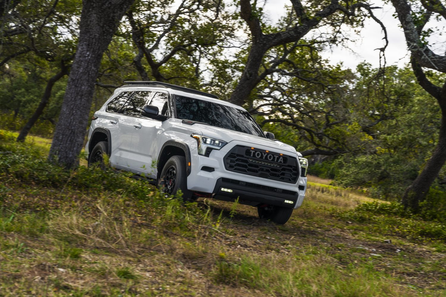 Toyota Unveils All-New 2023 Sequoia; Five Trims for the Third-Gen Three-Row