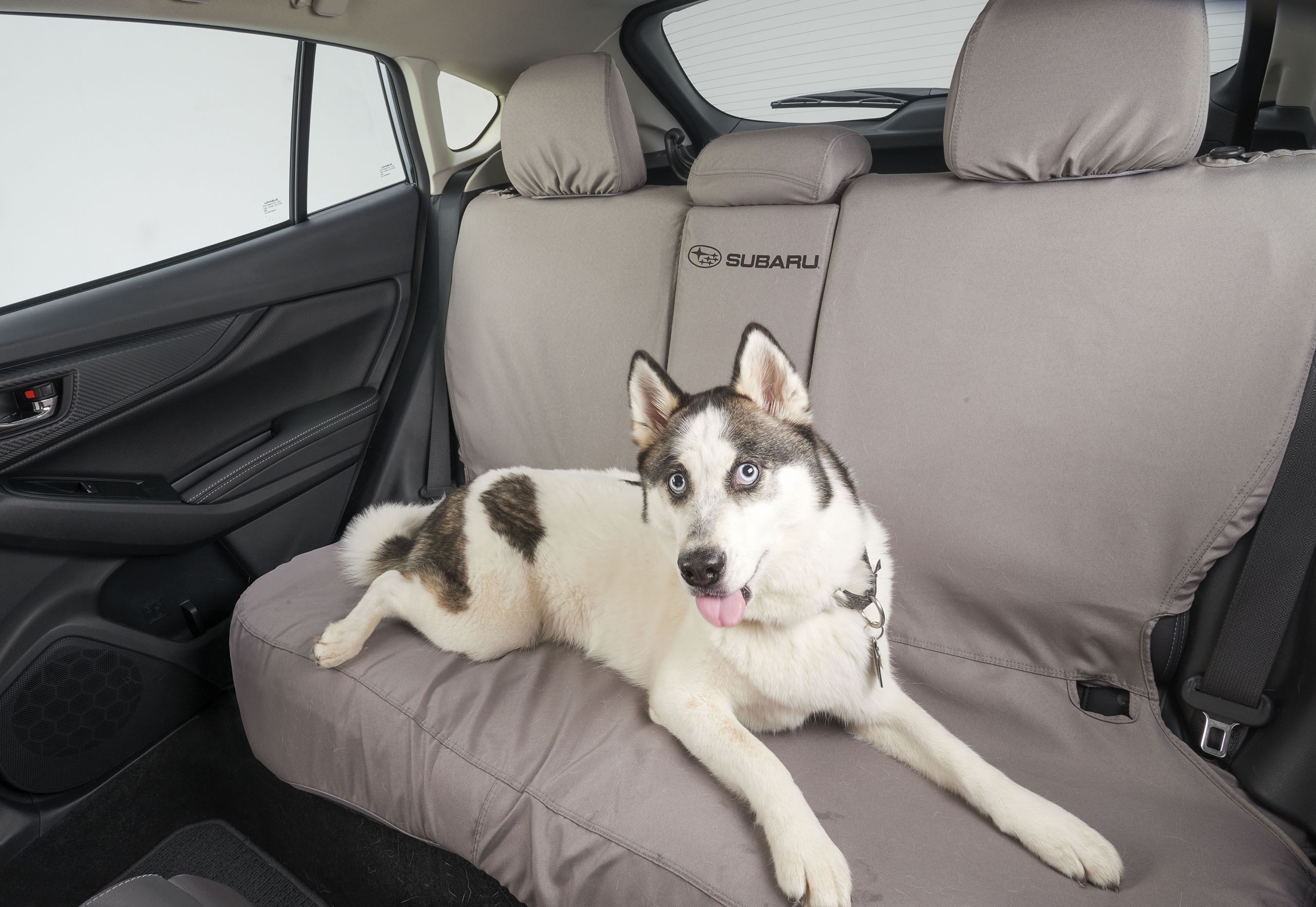 Subaru Launches Accessories Line to Keep Pets Protected and Comfortable