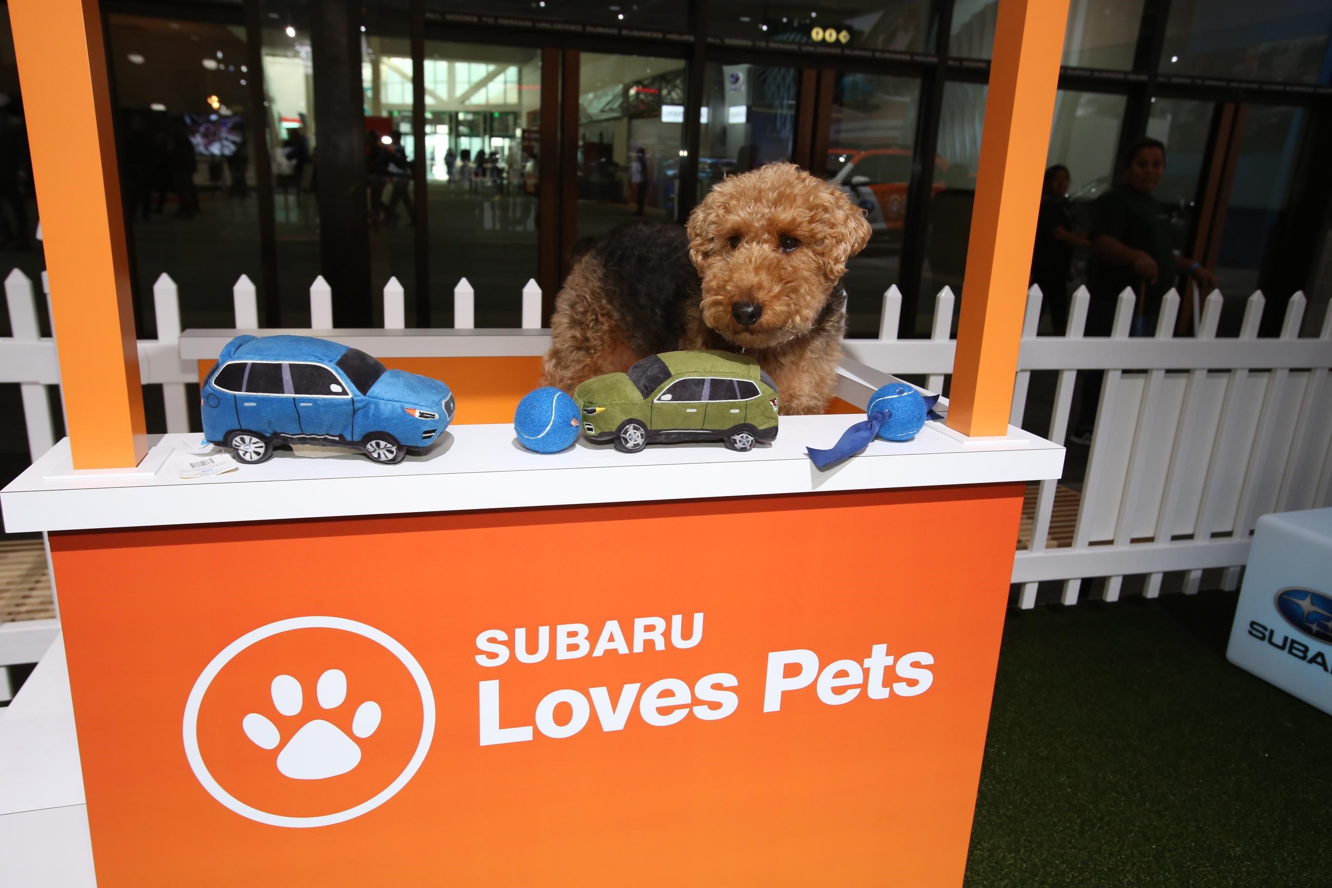 Subaru Going For The Dogs…Big Time!